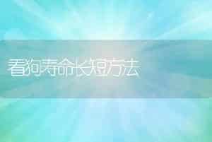 看狗寿命长短方法