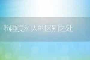 狗睡觉和人的区别之处