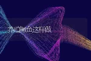 养殖鳜鱼这样做