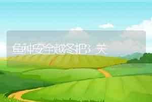 鱼种安全越冬把3关