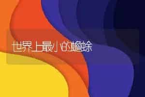 世界上最小的蟾蜍