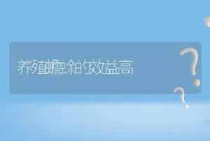 养殖蟾蜍的效益高