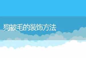 狗被毛的装饰方法
