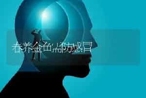 春养金鱼需防感冒