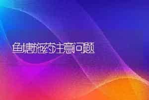 鱼塘施药注意问题