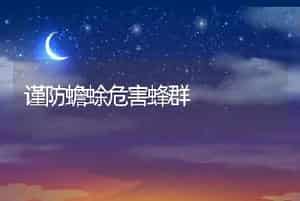 谨防蟾蜍危害蜂群