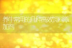 肉鸽人工孵化及哺育技术