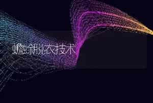 蟾蜍脱衣技术