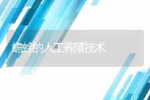 蟾蜍的人工养殖技术