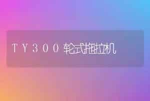 TY300轮式拖拉机