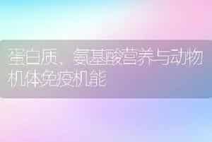 蛋白质、氨基酸营养与动物机体免疫机能