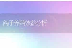 鸽子养殖效益分析
