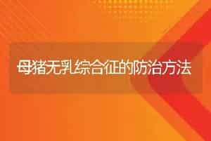 淇河鲫鱼大规格鱼种培育技术