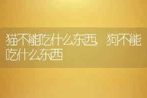 猫不能吃什么东西，狗不能吃什么东西