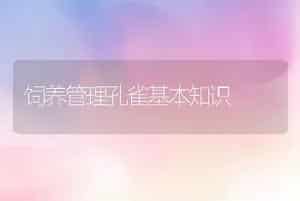 饲养管理孔雀基本知识