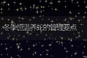 獭兔皮的防腐保存技术