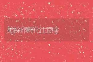 蟾蜍卵孵化注意啥