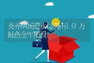 英养殖场遭水母袭击10万鲑鱼全军覆没