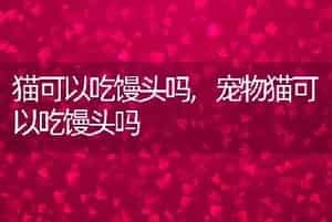 猫可以吃馒头吗，宠物猫可以吃馒头吗