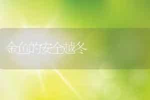 根据症状诊断仔猪渗出性皮炎