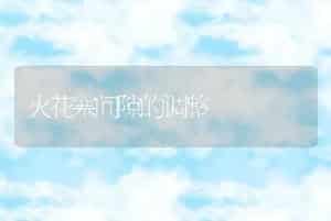 火花塞间隙的调整