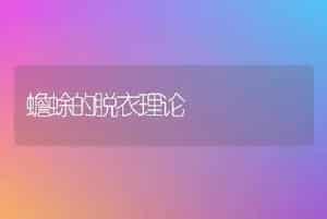 蟾蜍的脱衣理论