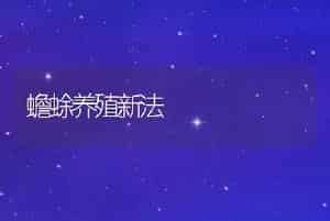 蟾蜍养殖新法
