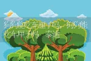 冠能猫粮怎么样，冠能猫粮怎么样 知乎