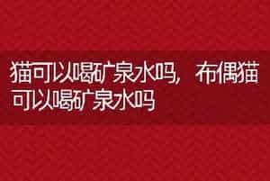 猫可以喝矿泉水吗，布偶猫可以喝矿泉水吗