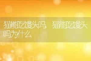 猫能吃馒头吗，猫能吃馒头吗为什么
