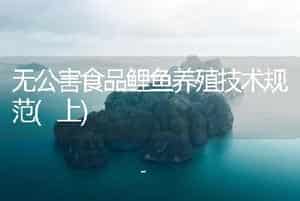 无公害食品鲤鱼养殖技术规范(上)