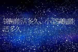 被家猫咬了出血有事吗，被家猫咬了出血有事吗猫咪没出去过