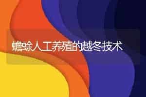 蟾蜍人工养殖的越冬技术