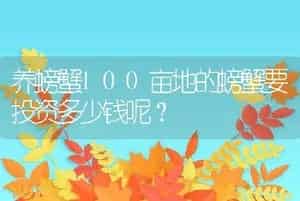 养螃蟹100亩地的螃蟹要投资多少钱呢？