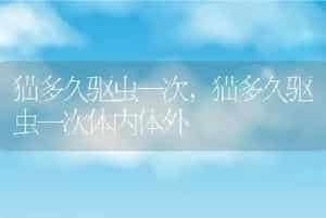 猫多久驱虫一次，猫多久驱虫一次体内体外