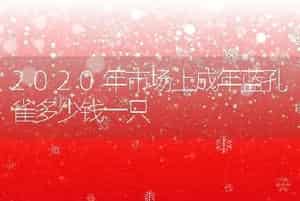 2020年市场上成年蓝孔雀多少钱一只
