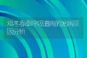 蟾蜍人工养殖越冬技术