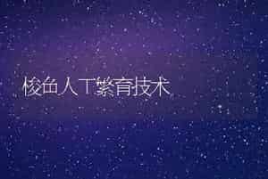 梭鱼人工繁育技术