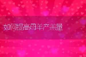 气候变化感冒猪增多注意防治方法