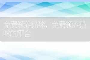 免费领养猫咪，免费领养猫咪的平台