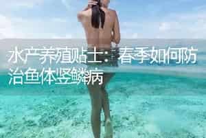 水产养殖贴士：春季如何防治鱼体竖鳞病