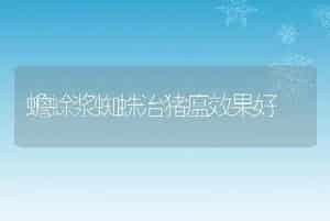 蟾蜍浆蜘蛛治猪瘟效果好