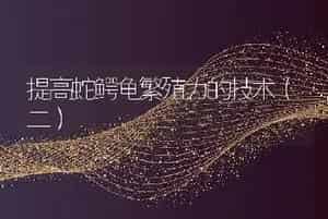 蟾蜍加工技术