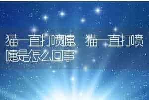 猫一直打喷嚏，猫一直打喷嚏是怎么回事