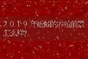 2019年蚯蚓的养殖前景怎么样？