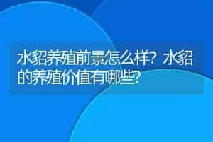 水貂养殖前景怎么样？水貂的养殖价值有哪些?