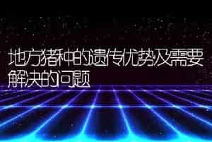 地方猪种的遗传优势及需要解决的问题