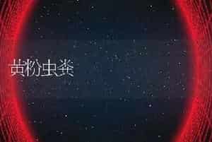 黄粉虫粪