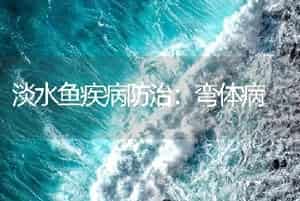 淡水鱼疾病防治：弯体病