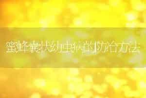 蜜蜂囊状幼虫病的防冶方法